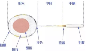 羽毛球拍基本知识介绍